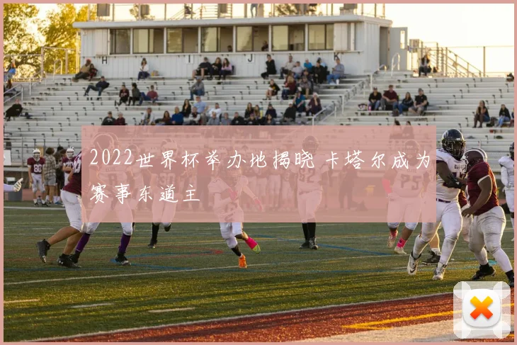 2022世界杯举办地揭晓 卡塔尔成为赛事东道主