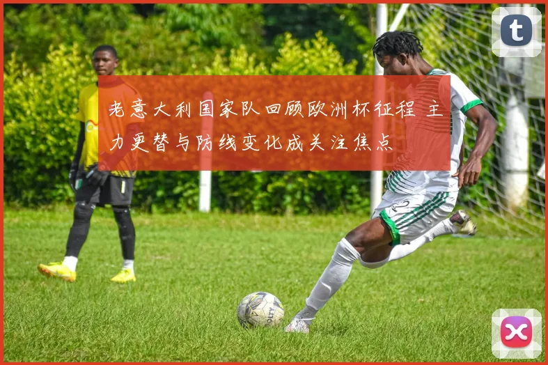 老意大利国家队回顾欧洲杯征程 主力更替与防线变化成关注焦点