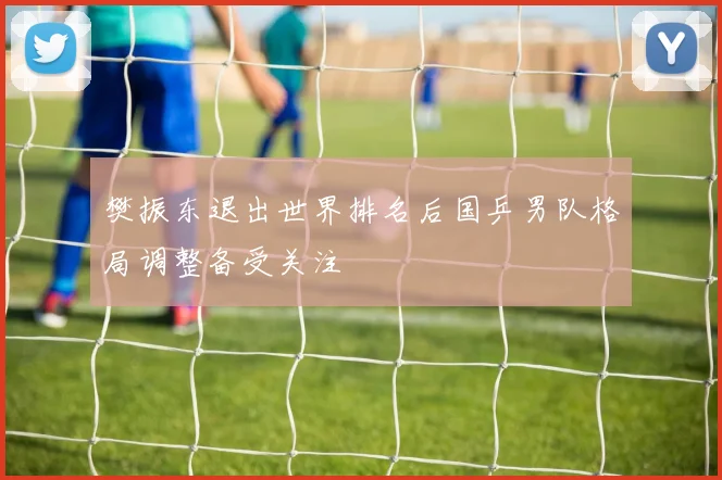 樊振东退出世界排名后国乒男队格局调整备受关注