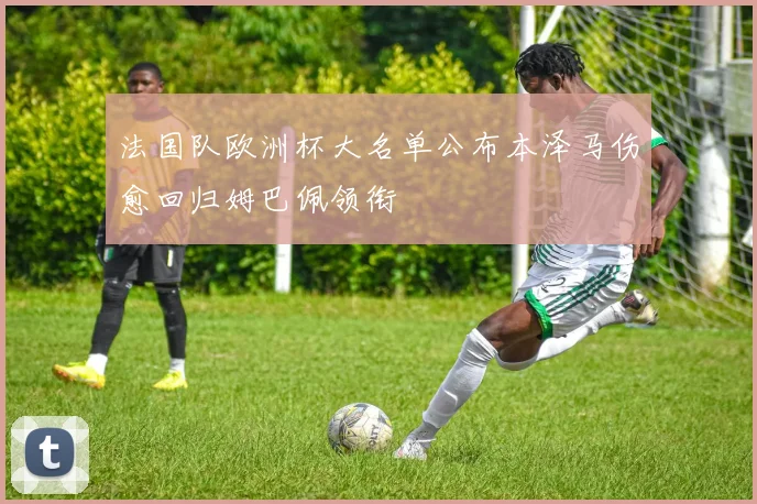 法国队欧洲杯大名单公布本泽马伤愈回归姆巴佩领衔