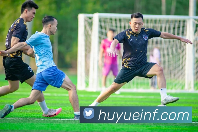 kaiyun官方网站入口平台生态图